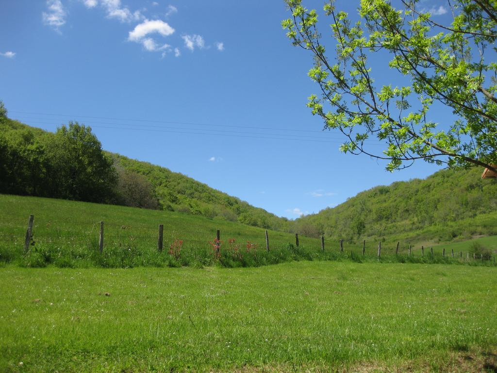 Domaine La Rose Bed and Breakfast Caylus Buitenkant foto