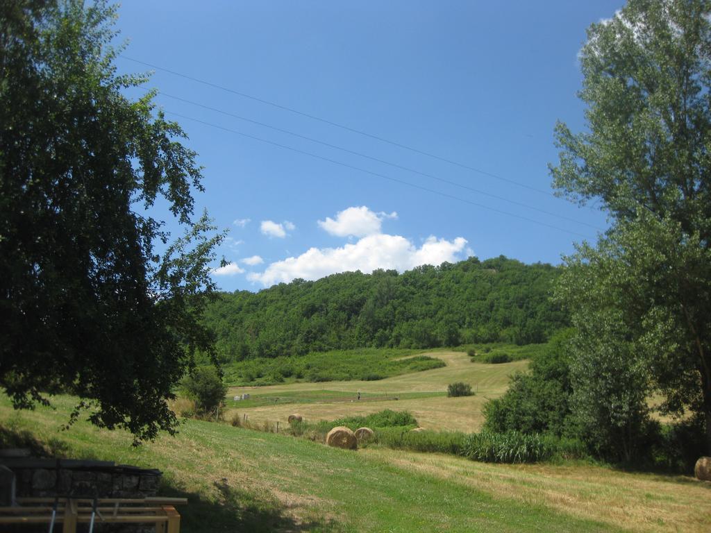 Domaine La Rose Bed and Breakfast Caylus Buitenkant foto