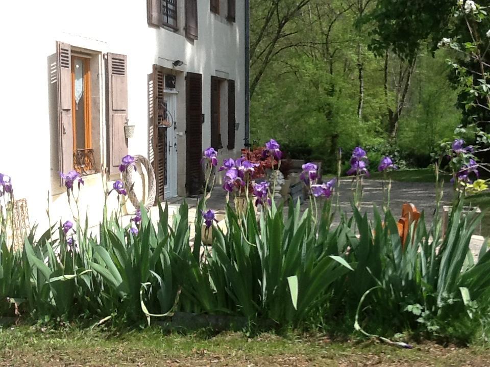 Domaine La Rose Bed and Breakfast Caylus Buitenkant foto